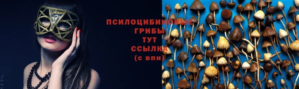 spice Алзамай