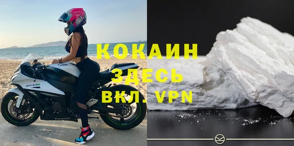 spice Алзамай